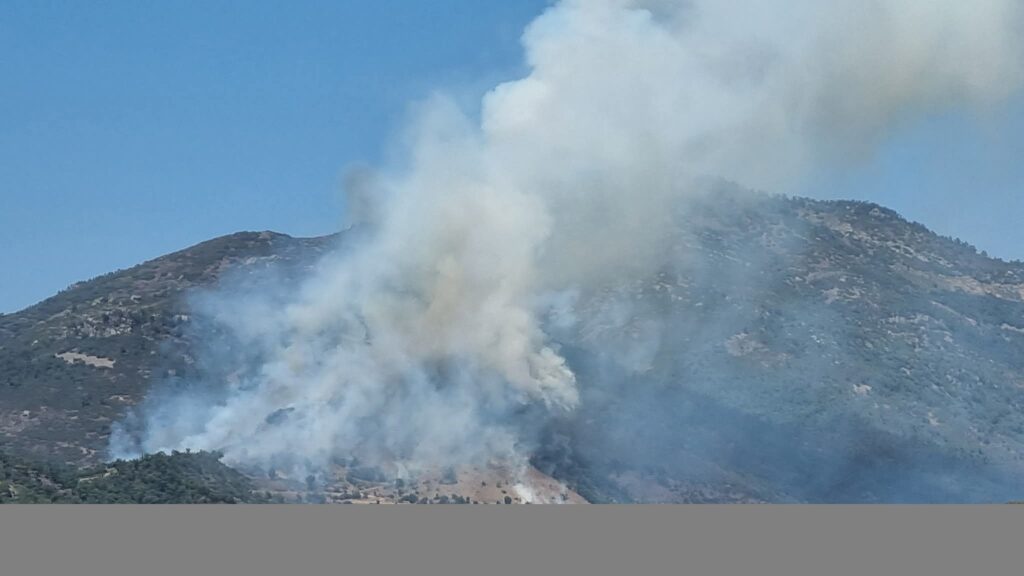 طائرات الإطفاء تسابق الزمن للسيطرة على حريق غابة "تميّينت" بين الحسيمة وشفشاون