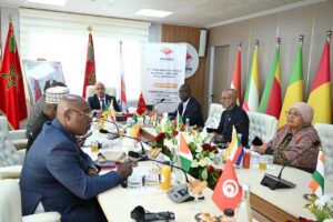 تجديد الثقة بالإجماع في السيد مولاي إبراهيم العثماني رئيساً للاتحاد الإفريقي للتعاضد 