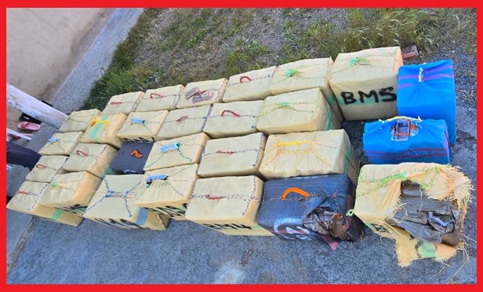 ضربة أمنية قوية بالرباط.. حجز 865 كلغ من “الشيرا” وتوقيف مروجين